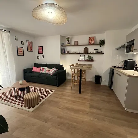 Chic & Cosy Au Calme * Albi
